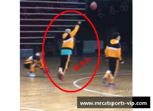 探寻Zipser：从篮球场到人生巅峰的故事