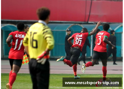 河南建业:转会交易风波中心 河南建业:转会交易风波中心