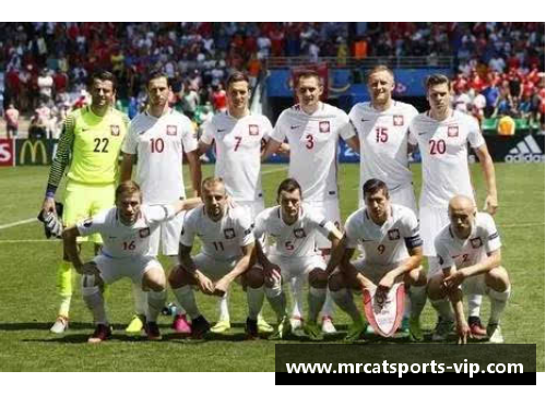 波兰球员俱乐部：历史、文化与现代发展