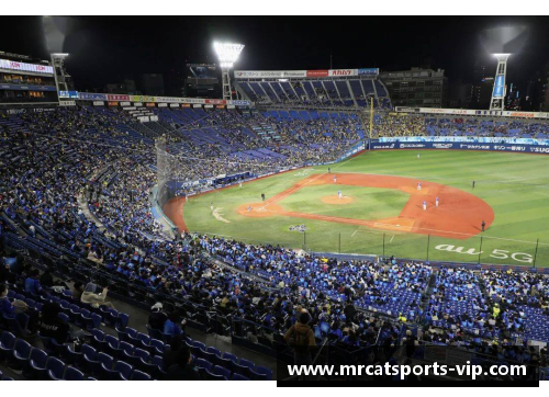 聚焦体育场默哀：一场精神的共鸣