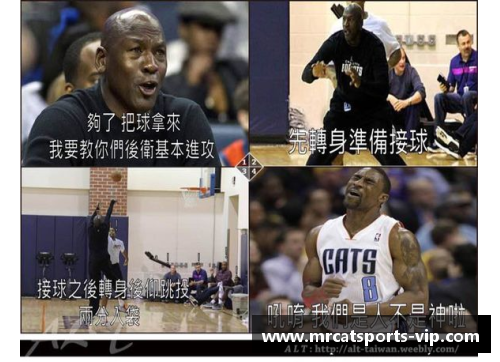 NBA趣图大串烧:笑料百出,精彩瞬间一网打尽 NBA趣图大串烧:笑料百出,精彩瞬间一网打尽