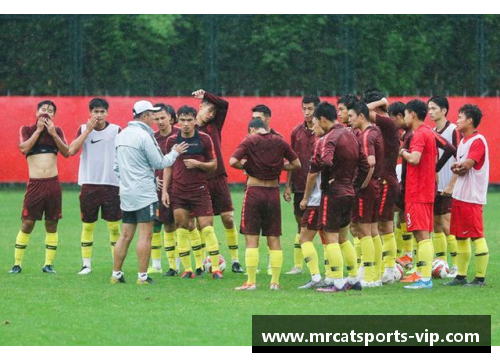 广州龙狮球员受伤退赛，球队备战受影响需调整战术