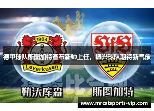 德甲球队斯图加特宣布新帅上任，振兴球队期待新气象