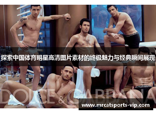 探索中国体育明星高清图片素材的终极魅力与经典瞬间展现